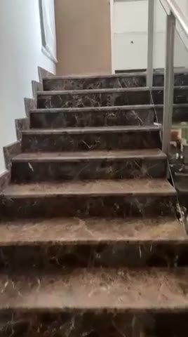 Videos