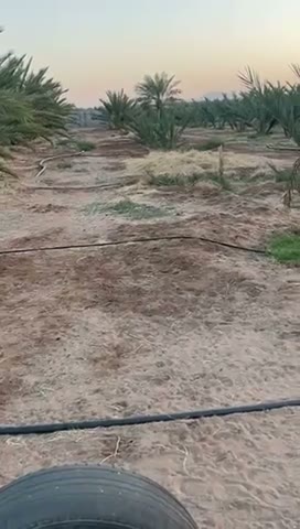 Videos