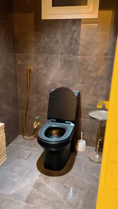 Videos