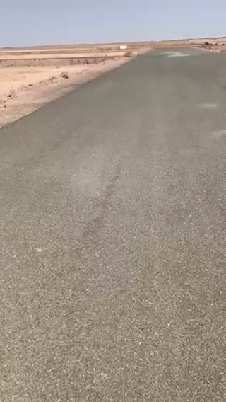 Videos