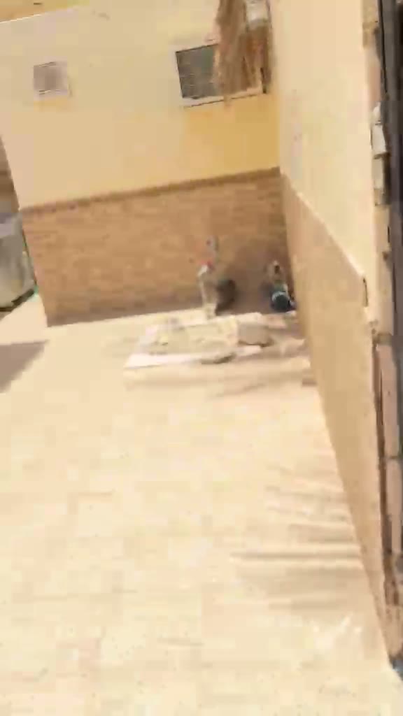  الفيديوهات