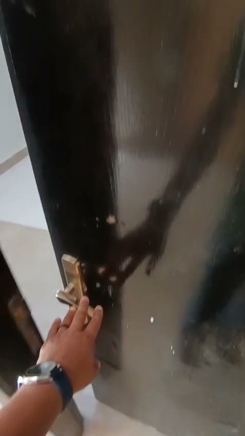  الفيديوهات
