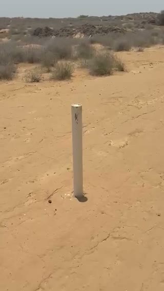 Videos