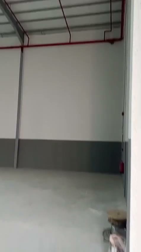 Videos