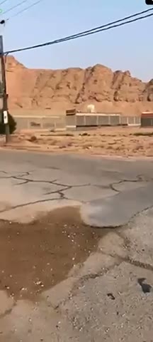 Videos