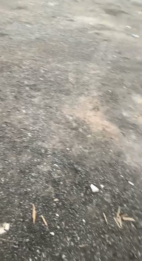 Videos