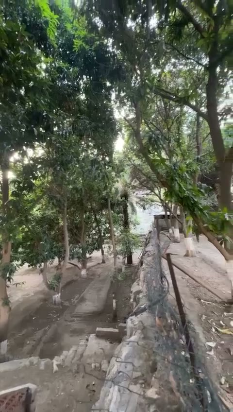 Videos