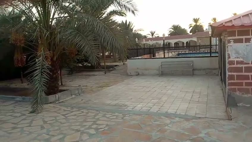  الفيديوهات