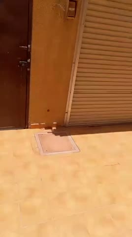 Videos