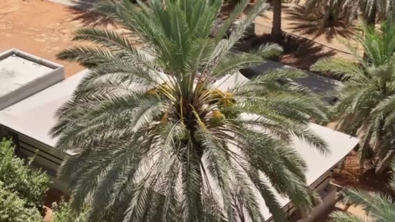 الفيديوهات