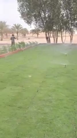  الفيديوهات