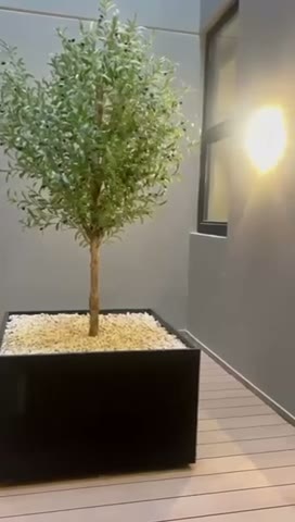 Videos