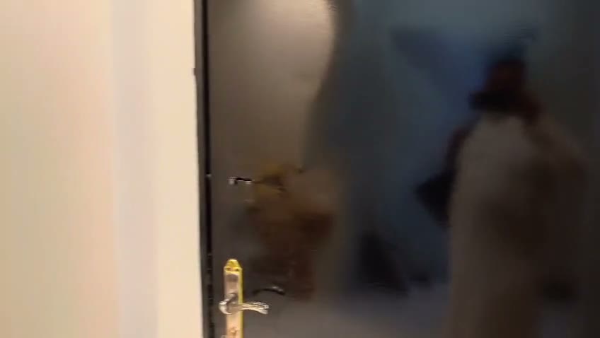 Videos