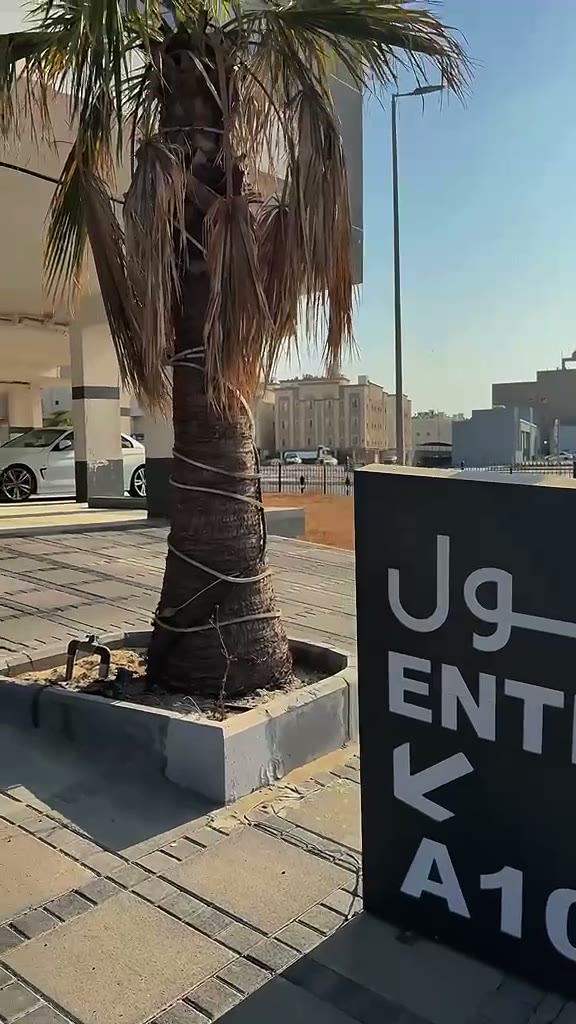  الفيديوهات
