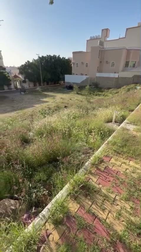  الفيديوهات