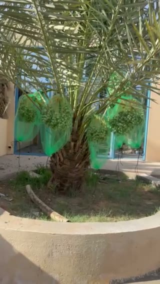 الفيديوهات