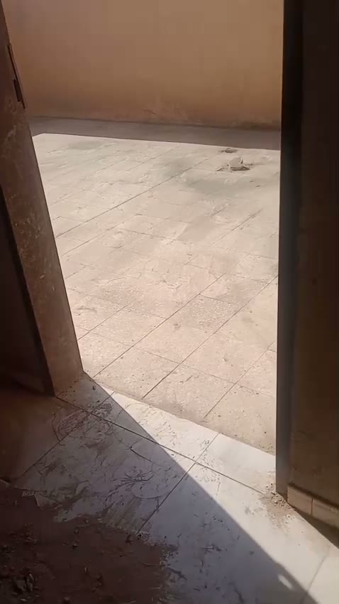 Videos