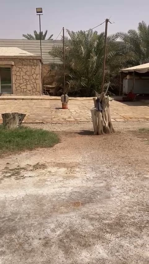 Videos