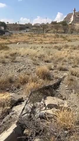 Videos