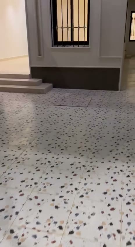Videos