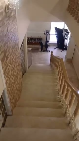  الفيديوهات