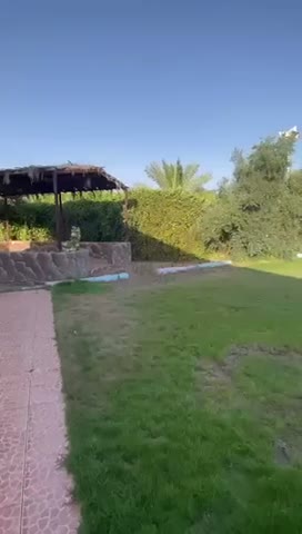 Videos