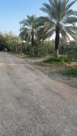 Videos