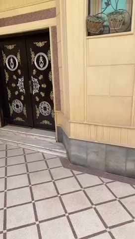 Videos