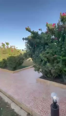Videos