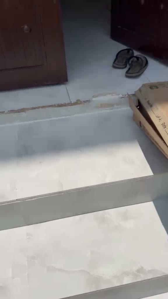 Videos