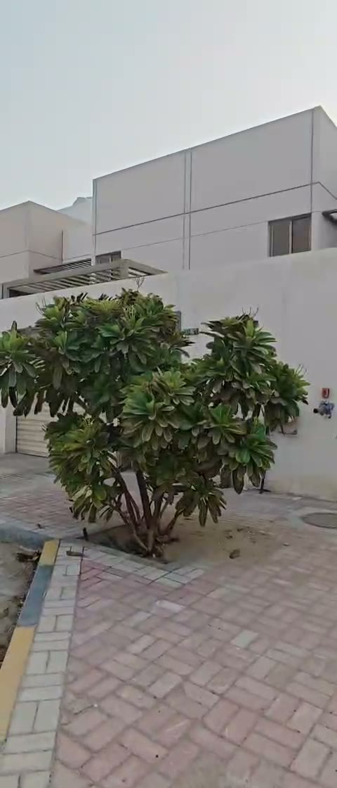 Videos