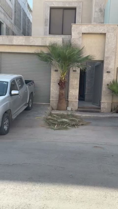  الفيديوهات