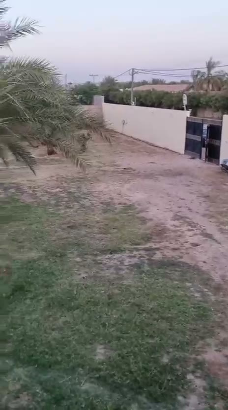  الفيديوهات