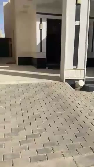  الفيديوهات