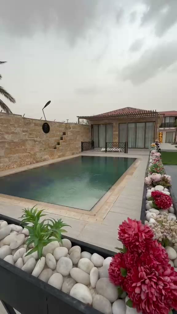  الفيديوهات