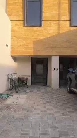 Videos