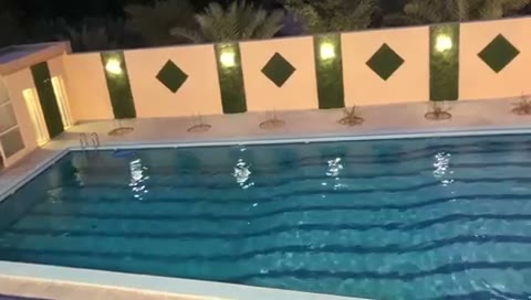 Videos