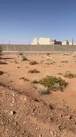 Videos