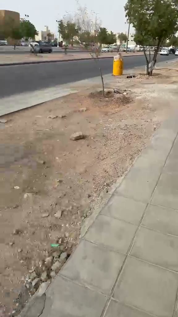 Videos