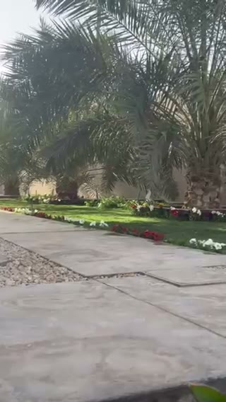  الفيديوهات