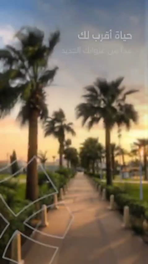  الفيديوهات