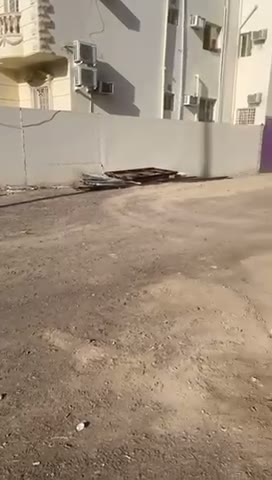 Videos