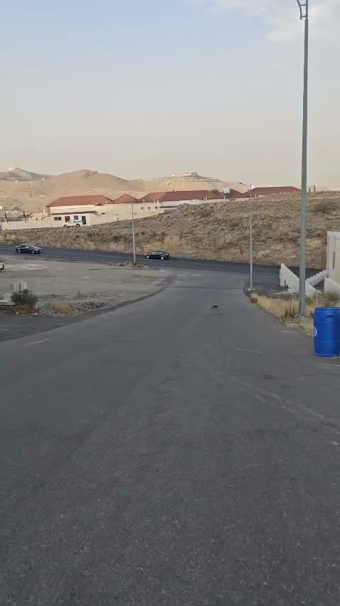 Videos