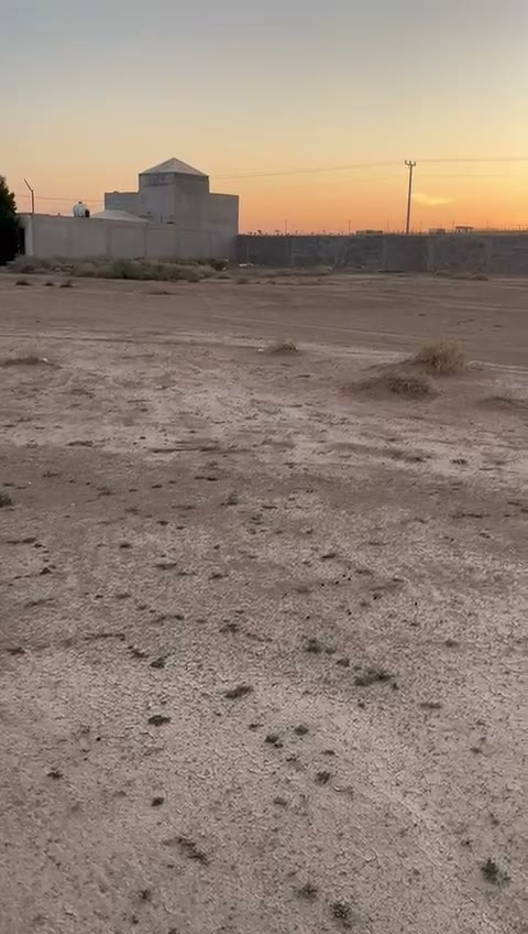 Videos