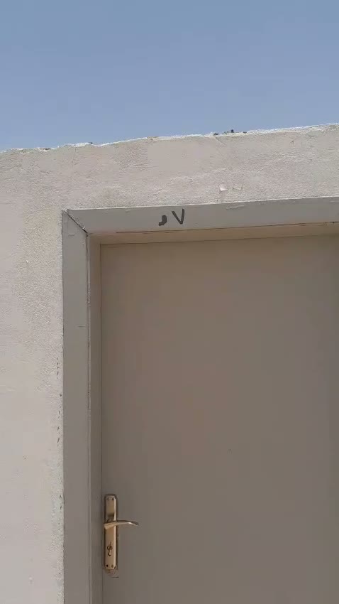 Videos