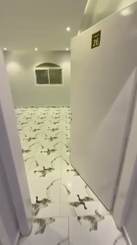 الفيديوهات