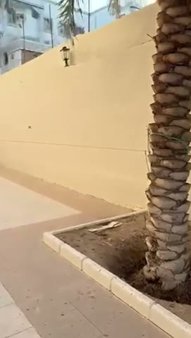Videos
