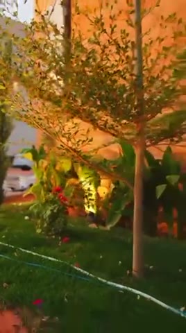 Videos