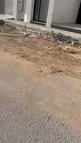 الفيديوهات