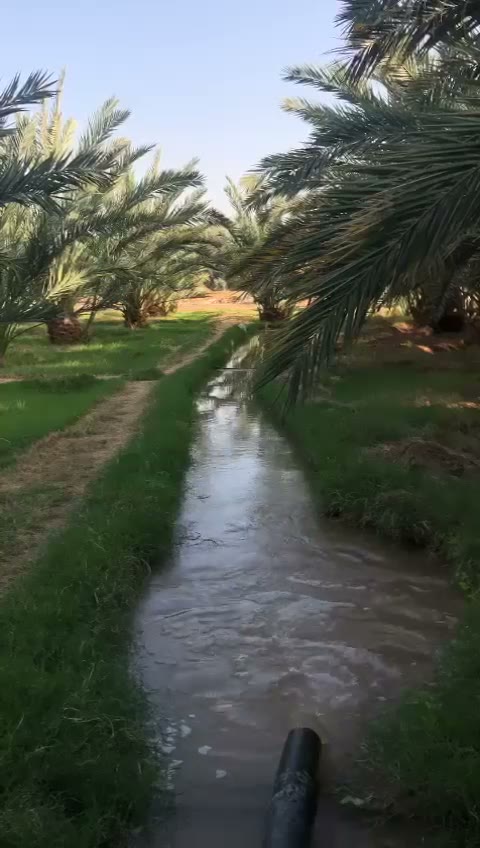  الفيديوهات